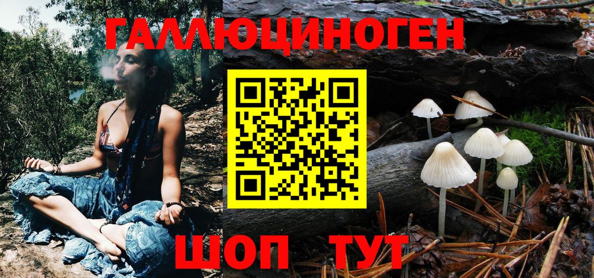 Хасавюрт  Галлюциногенные грибы GOLDEN TEACHER  где купить   Вход с VPN 