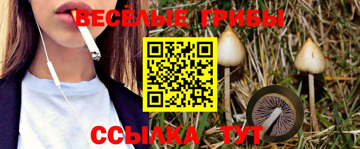 Псилоцибиновые грибы прущие грибы Хасавюрт